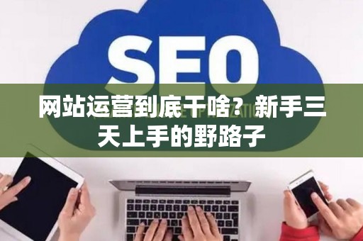 网站运营到底干啥？新手三天上手的野路子